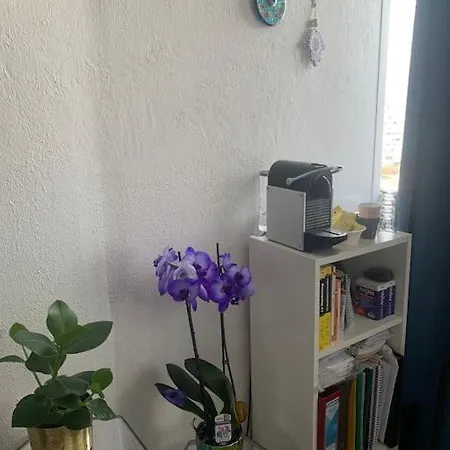 Au Dessus Des Toits - Hypercentre - Metro - Gare Toulouse