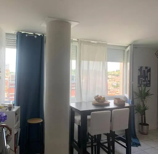 Au Dessus Des Toits - Hypercentre - Metro - Gare Apartment Toulouse