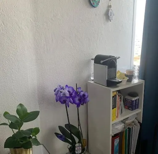 Au Dessus Des Toits - Hypercentre - Metro - Gare Τουλούζη